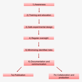 New Beginning Essay Emoji - Colorfulness