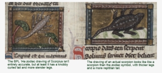 It Seems Possible That The Illustrators Of Bpl 14a - Sturgeon
