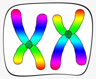 Clip Art