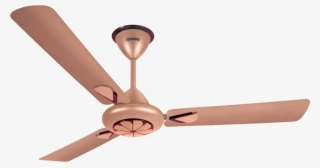 Buy 1200mm Ecstacy Ruby Bronze Online At Best Price-ceiling - Ceiling Fan