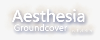 Straight Donations Accepted - Architecture