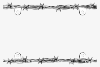 Barb Wire - Chrome Barbed Wire Border