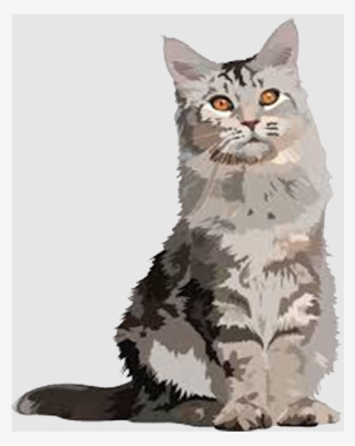 A Holiday Home For Cats - Domestic Short-haired Cat