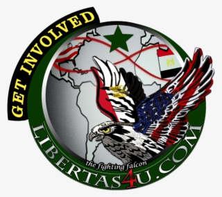 Eventually, The Client Requested The American Flag - Vietnam Veteran Us Navy