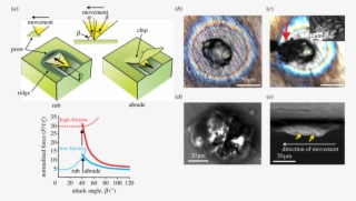 A Rigid Particle Sliding On A Surface Rubs Or Abrades - Diagram