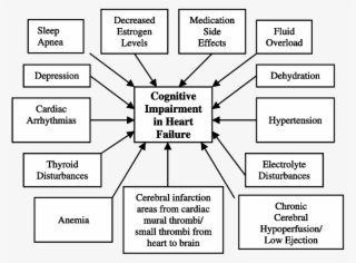 Etiologies Of Cognitive Impairment In Heart Failure - Diagram