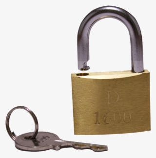 Brass Dolphin Style Padlock D 1600 With 35mm Key - Key