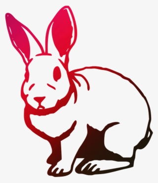 Dingbat Font Domestic Hare Rabbit Free Download Png - Animal Font Dingbat