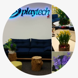 In 2017 The Office Of The Company Was Fully Renovated - Outdoor Furniture