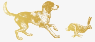 Hare Gold - Brittany