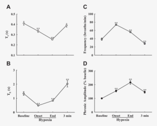 Effects Of Hypoxia On T I , T E (b), Phrenic Burst - Diagram