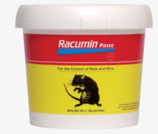 Related Products - Rat