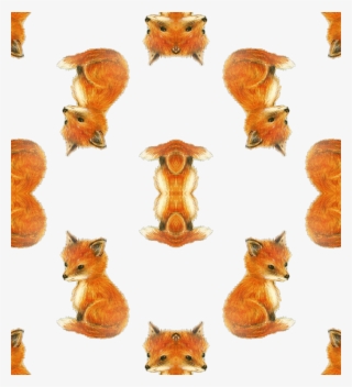 Swift Fox