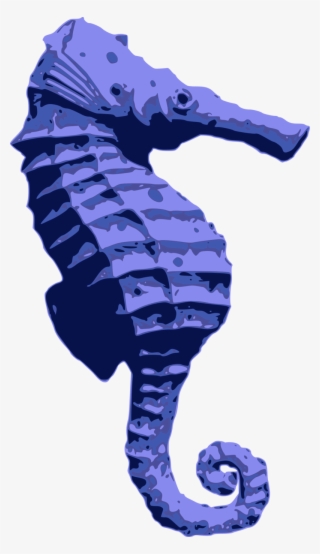 Blue Seahorse - Seahorse