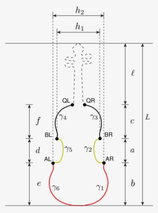 Dashed Line In The Violin Contour Represents The Part - Diagram