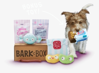 Barkbox, A Monthly Box Of Dog Goodies Starting At $22 - Yorkshire Terrier