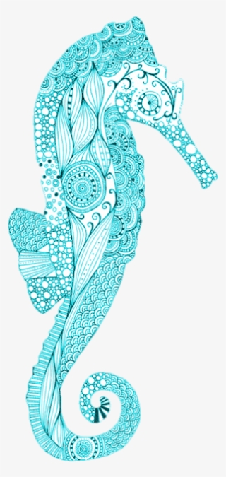 369 Images About S W E E T S E A On We Heart It - Northern Seahorse