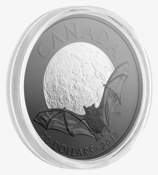 2017 Canada $20 Brown Bat - Quarter