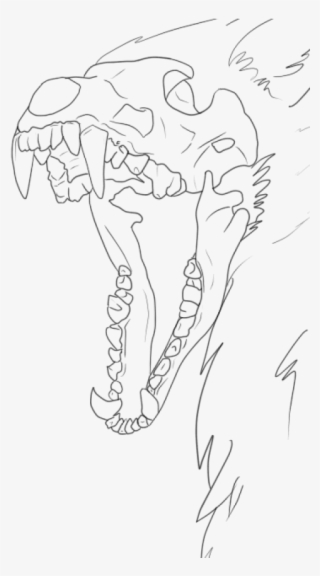Free Png Download Wolf Skull Drawing Base Png Images - Wolf Skull Drawing
