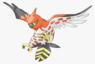Pokemon Flambusard