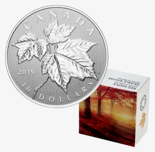 2019 1/2 Oz Canada Maple Leaf - Silver Coin