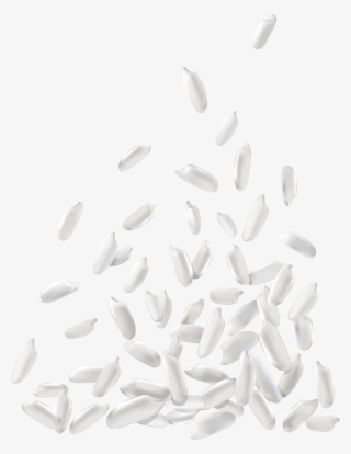 White Rice Png Download Image - Rice Png Vector