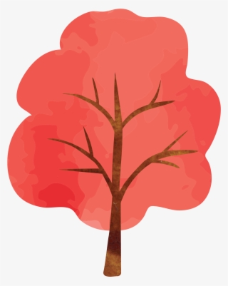 Red Maple Photography - Illustration