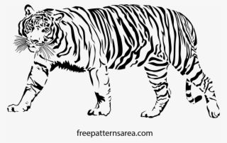 1246 X 788 9 - Bengal Tiger