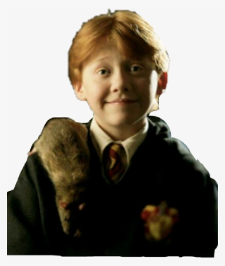 Ronweasley Weasley Red Mouse Harrypotter - Scabbers Harry Potter