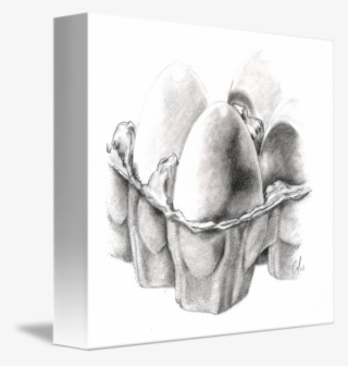 Drawn Egg Carton Drawing - Drawing Of Eggs In A Carton