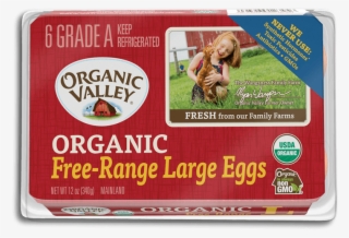 Large Eggs, Half Dozen - Organic Valley