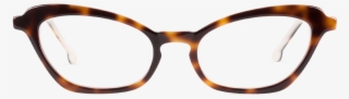 Celebrating The Diversity Of Faces & The Uniqueness - Glasses