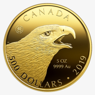 169472 Rev-570 - 2019 Gold Coin