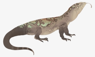 Komodo Dragon