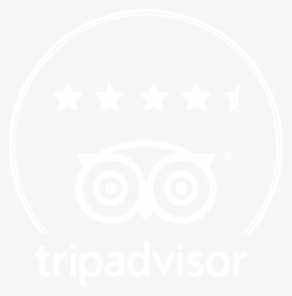 Trip Advisor - Tripadvisor Llc