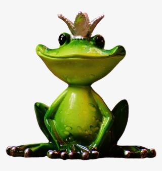 Download Frog Png Transparent Images Transparent Backgrounds - The Frog Prince