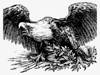 Drawn Bald Eagle Usa Eagle - America Was Always Great