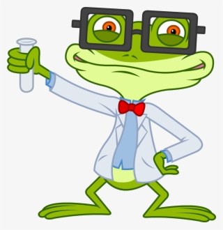 Frog T Shirt - Biology Cartoon Png