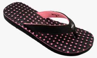 Hawai Pef007 - Perro Porcelana Fria