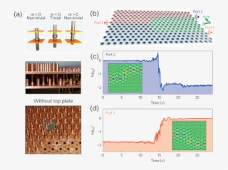 (top) Displacing A Metallic Collar Relative To The - Diagram