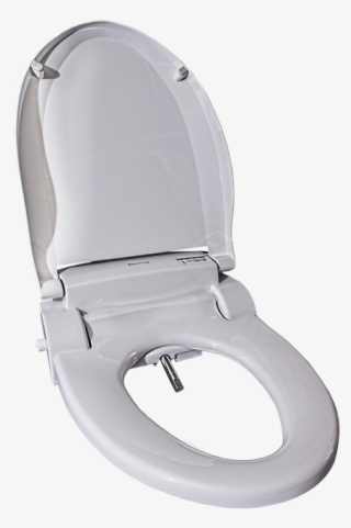 Load Image Into Gallery Viewer, Blooming Nb-r1063 Enlongated - Restroom