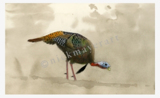 Feeding Tom Original Watercolor Painting - Turkey