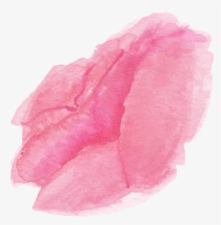 Watercolor English Roses - Watercolor Paint