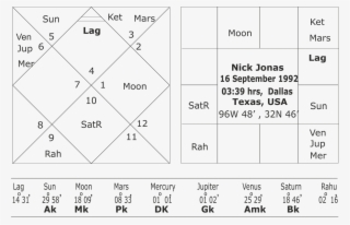 Horoscope Of Nick Jonas - Number