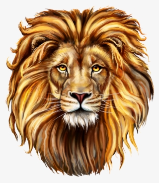 Download - Lion Front Face Drawing