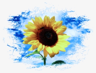 Sunflower Sticker - Sunflower