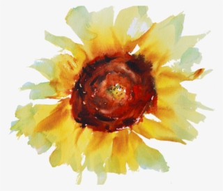 Yellow Irises Watercolour Painting Of A Sunflower - Sunflower