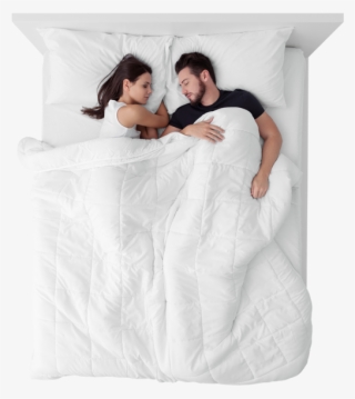 Feel The Bear Difference Or Your Money Back - Sleep