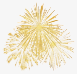 Gold Sticker - Feu D Artifice Or Png