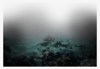 Seabed - Underwater